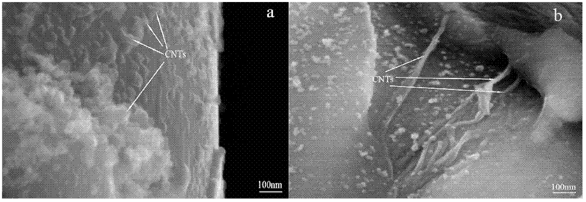 Production of carbon nanotube reinforced Fe-based amorphous alloy thermal spray coating and method