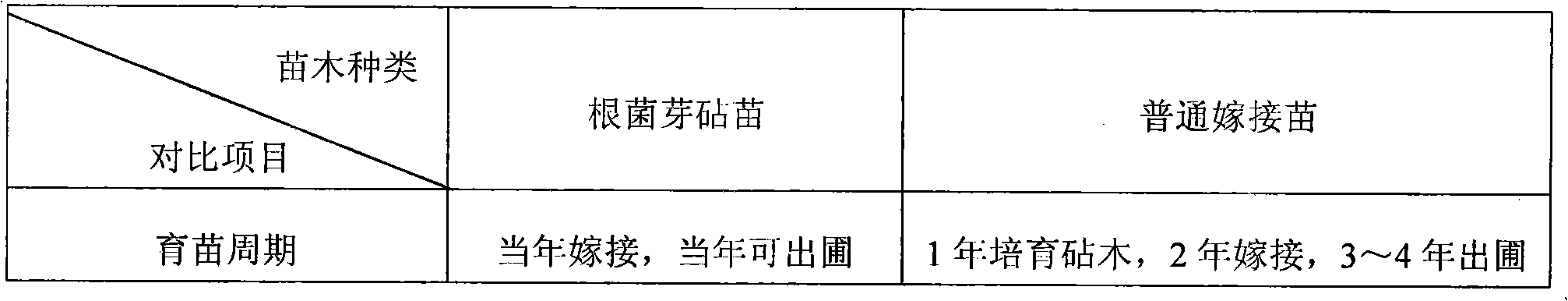 Method for bickiron inoculation of buds symbiotic to root fungi for culturing seedlings of Chinese chestnut