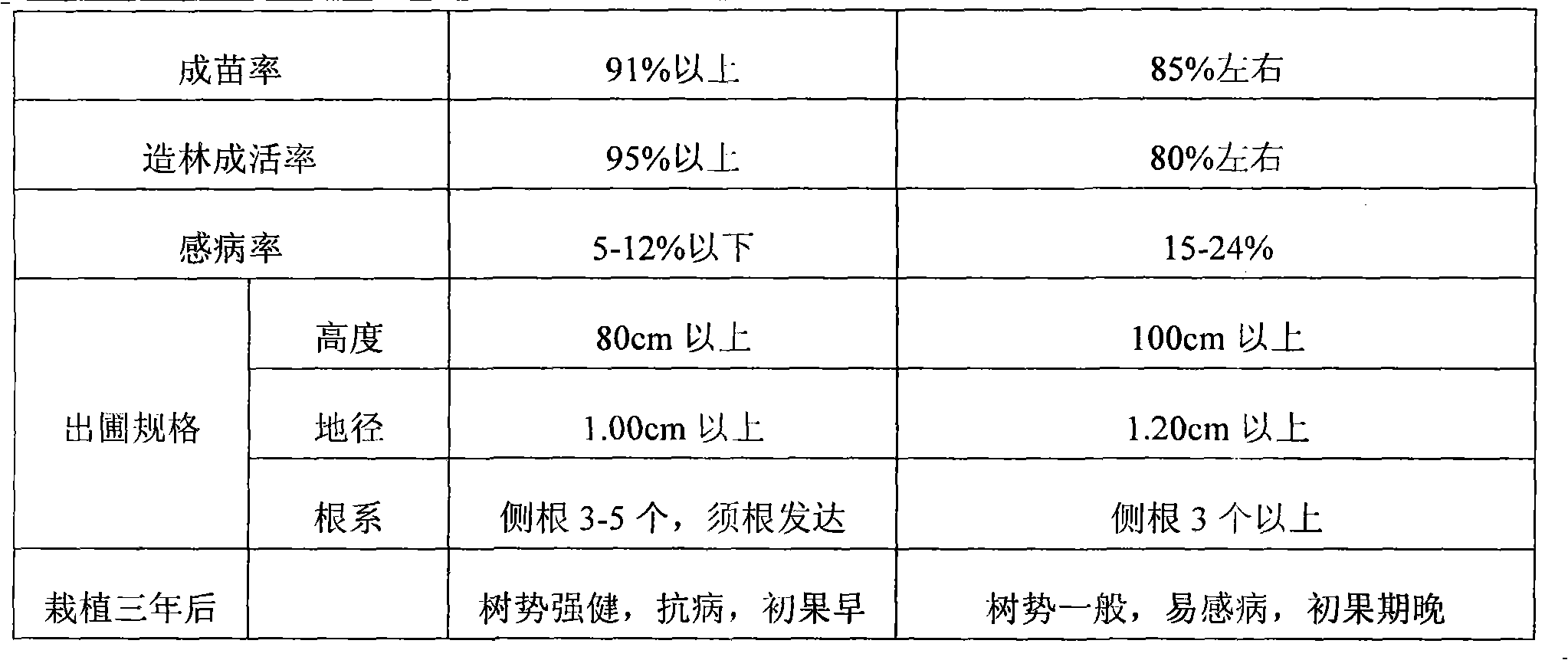 Method for bickiron inoculation of buds symbiotic to root fungi for culturing seedlings of Chinese chestnut