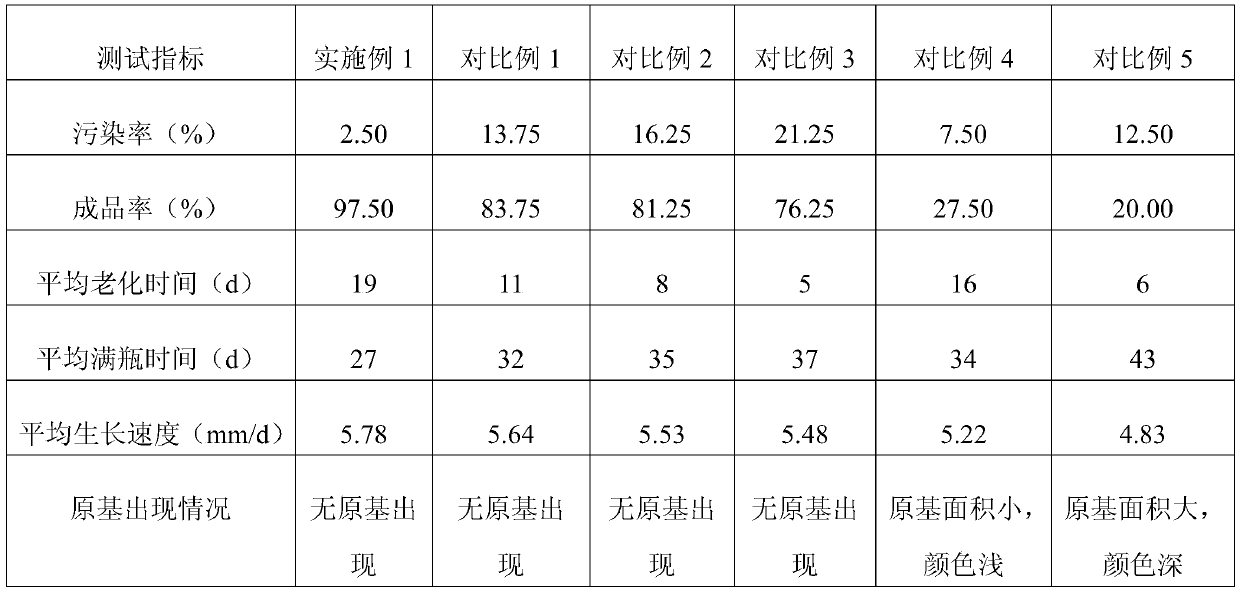 Method of using eucalyptus wood bits to make black fungus strain