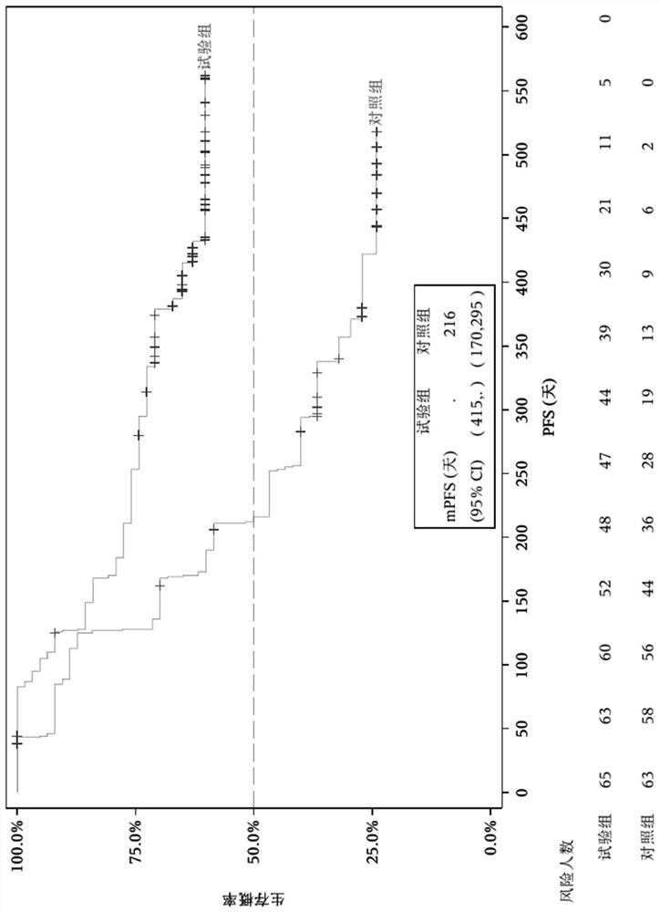 Application of EGFR/HER2 inhibitor combined with pyrimidine antimetabolic drug