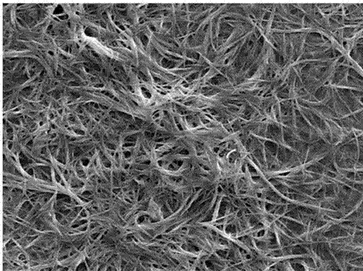 Method for compounding active ingredients in rhizoma acori graminei by utilizing oligopeptide supramolecular hydrogel