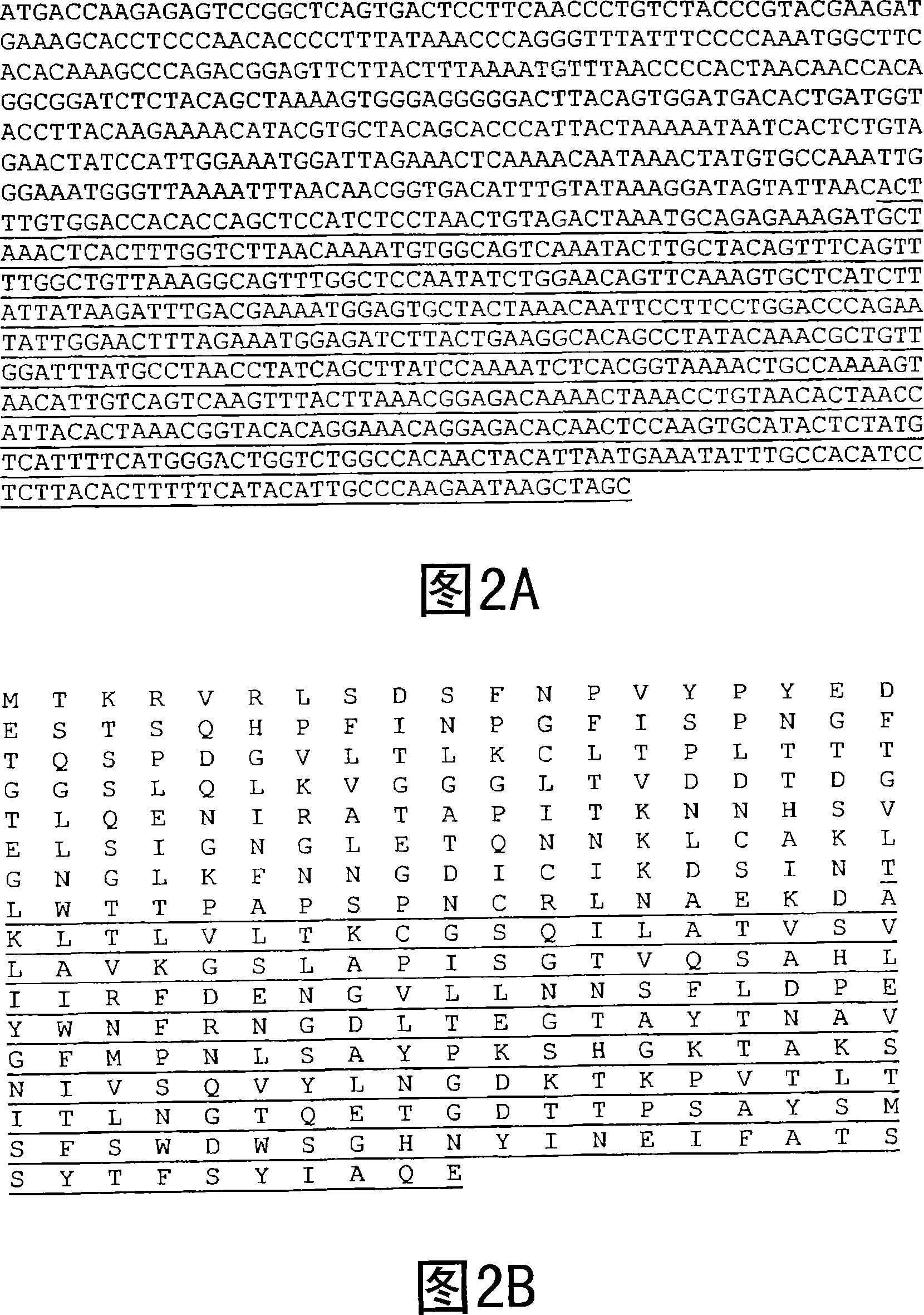 Improved adenoviral vectors and uses thereof