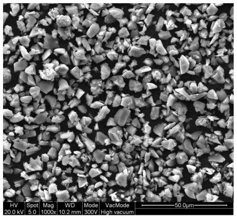 A silicon-based negative electrode material for a secondary battery, a method for preparing the same, and the secondary battery