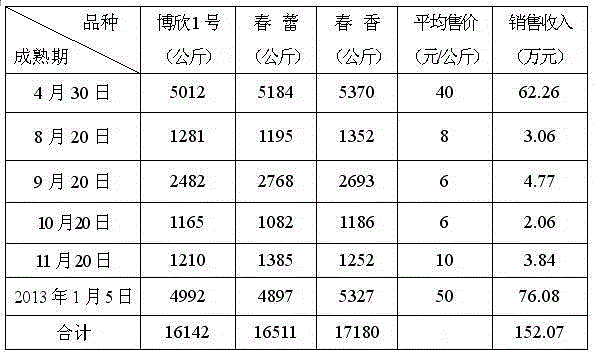 V-shaped grape trellis and grape cultivation method