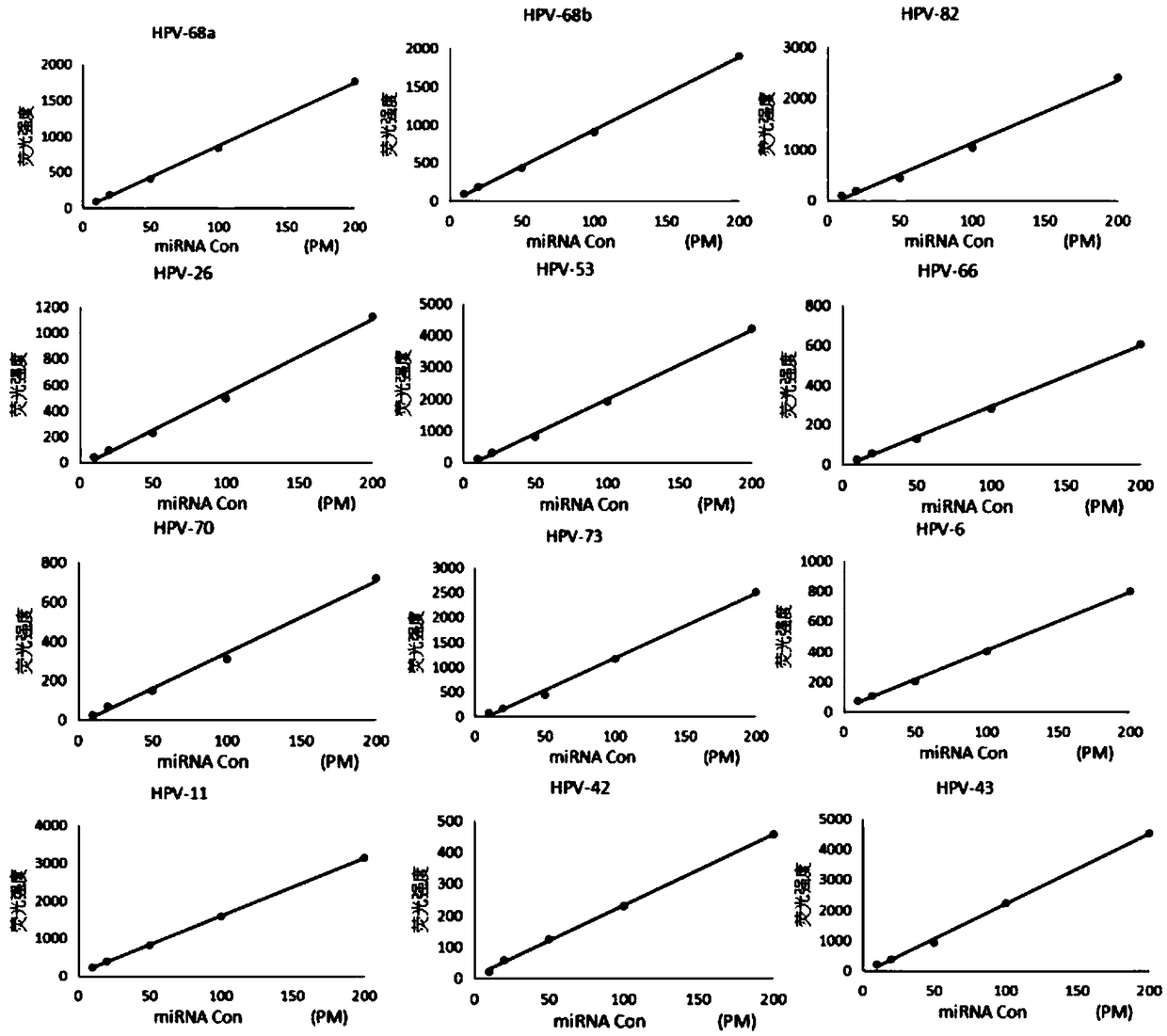 Human papillomavirus quick detection method, liquid-phase chip and kit