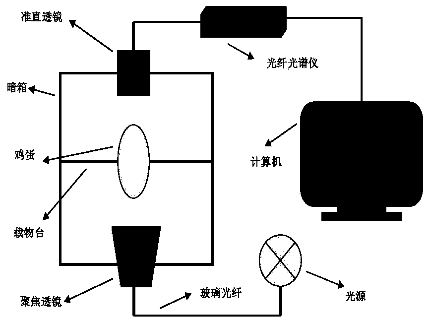 A Method for Identifying Male and Female Chicken Embryos in Early Stage