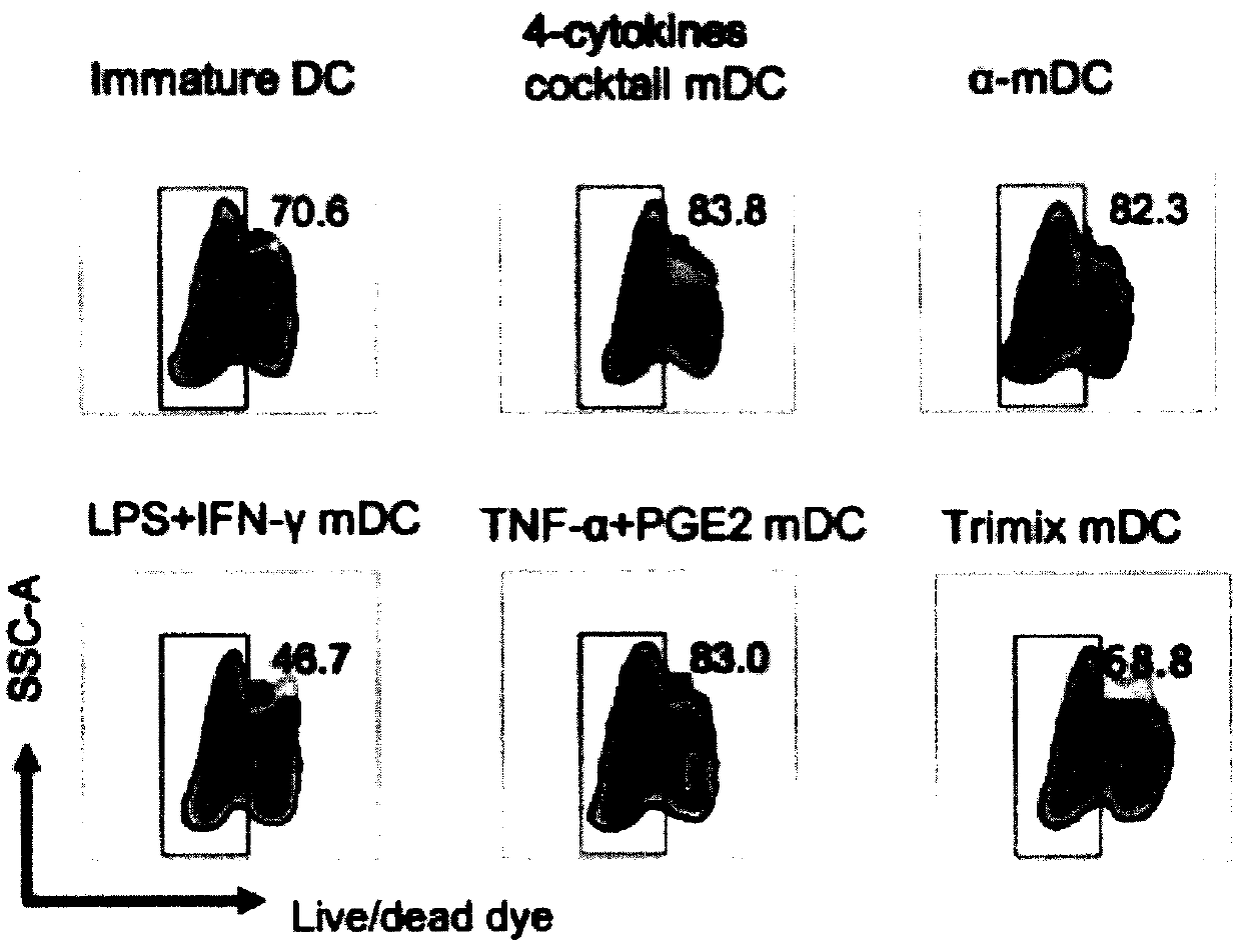 Novel preparation method of dendritic cell (DC) vaccine