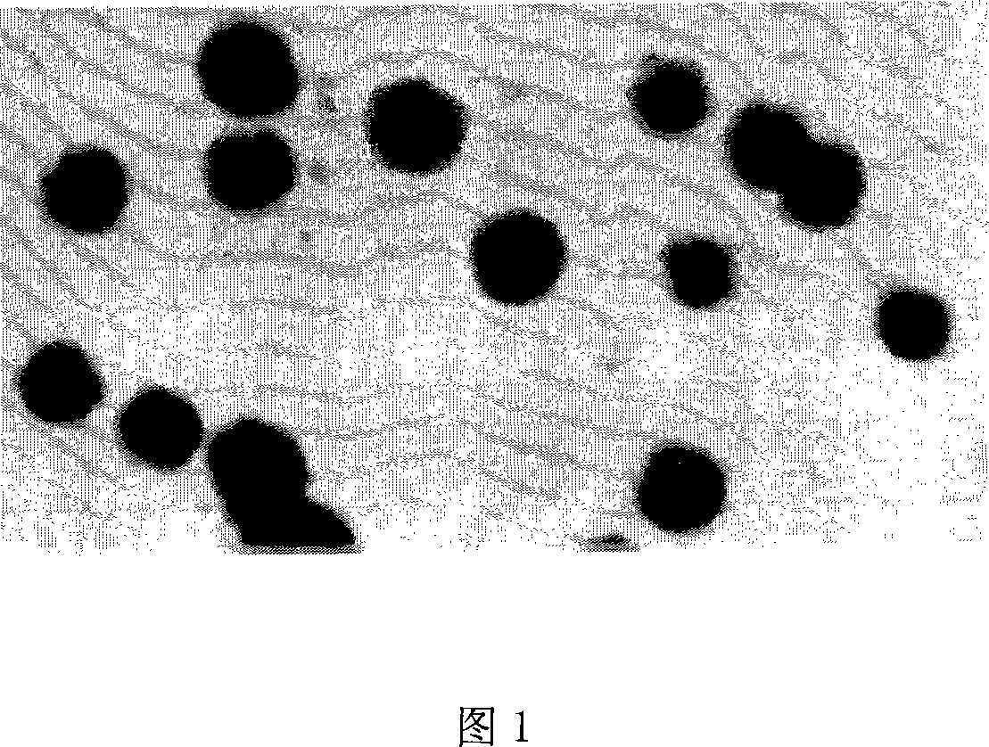 Penciclovir microemulsion gel preparation and preparing method thereof