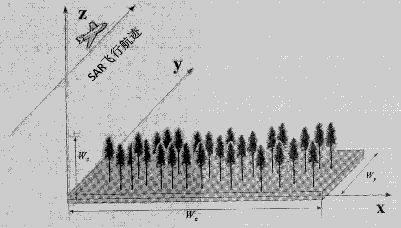 Rapid analogue method of synthetic aperture radar (SAR) large range forest scene remote sensing data
