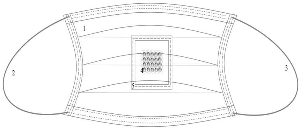 Special detection mask and method for Raman immune probe for respiratory virus collection and detection