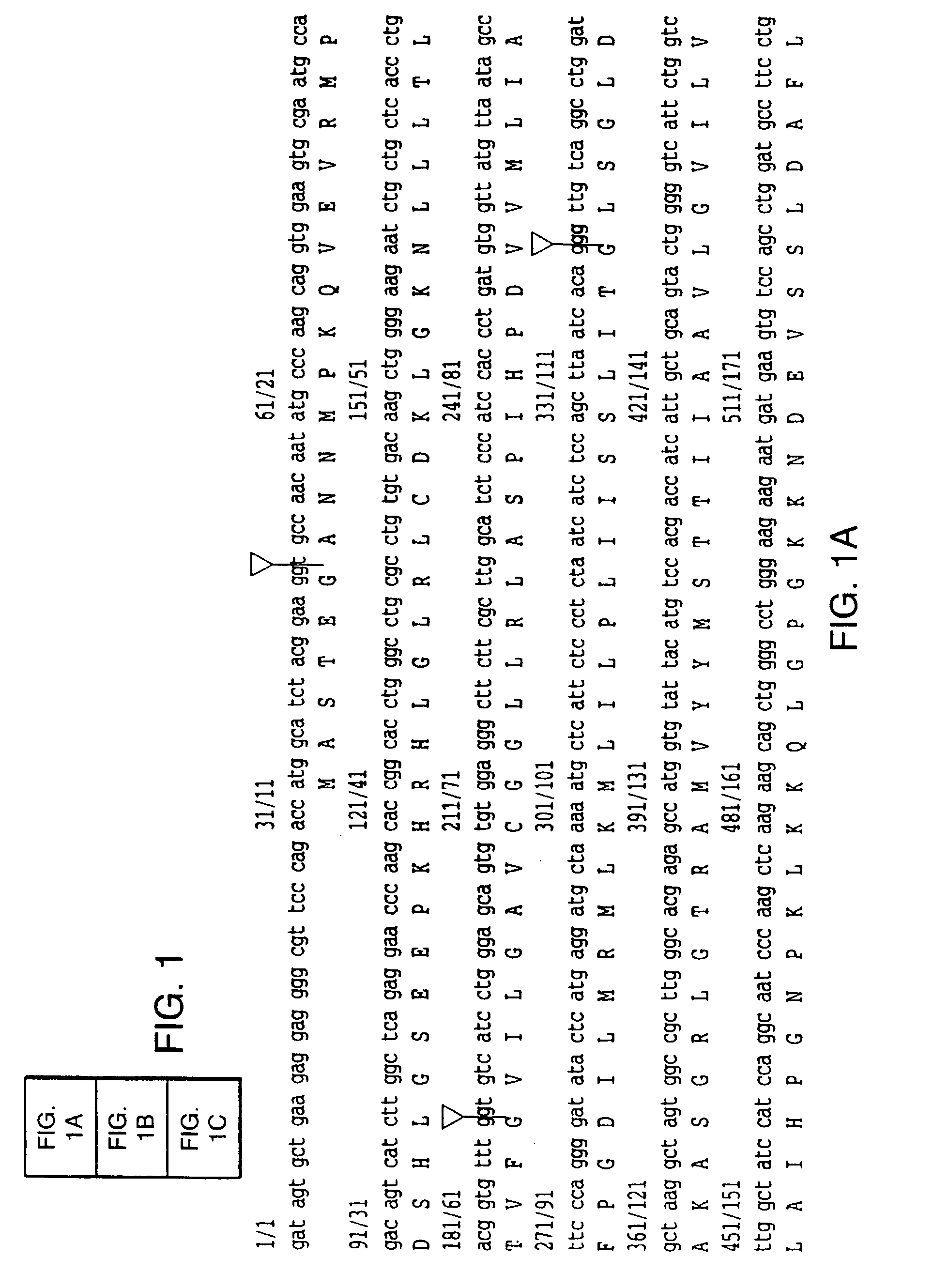 Methods for detecting neurological disorders