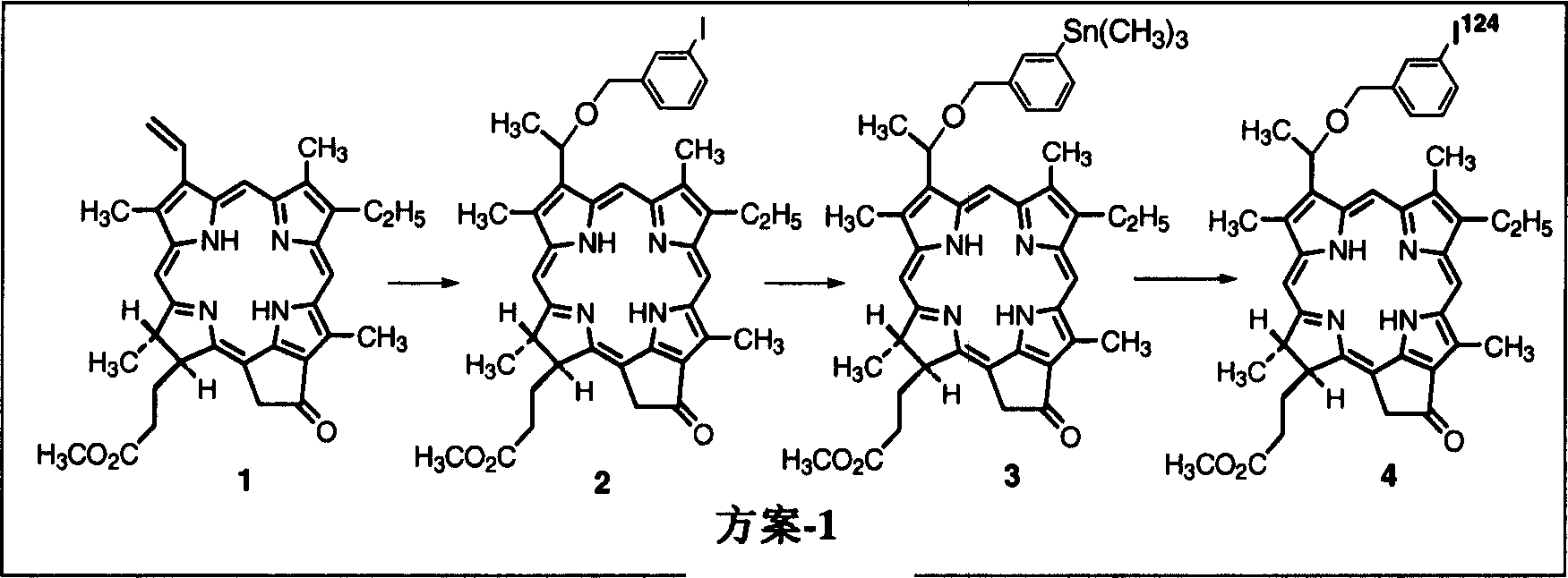 Porphyrin-based compounds for tumor imaging and photodynamic therapy