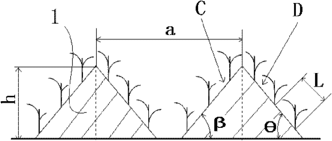 Stereoscopic compound cultivation method for rice field