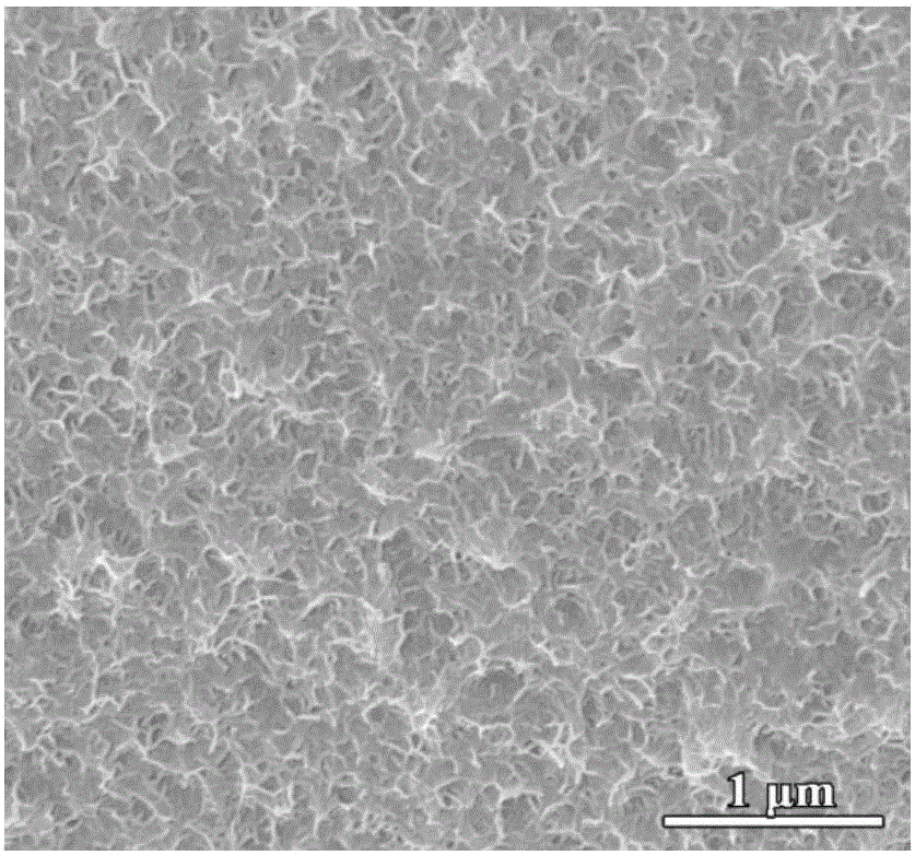 Preparation method of carbon dot and nickel sulfide compound photocatalyst with high oxidative activity