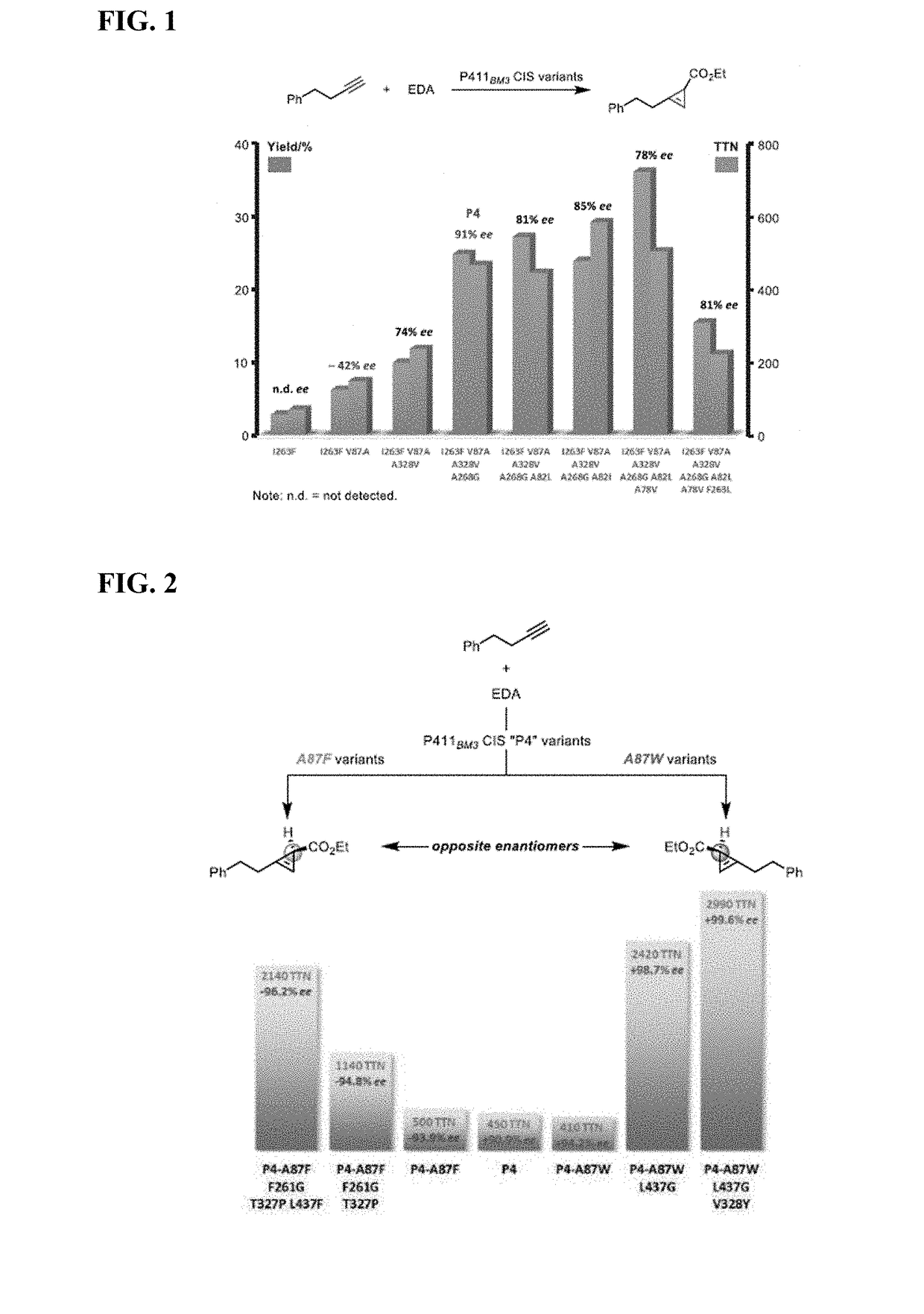 Biocatalytic Synthesis of Strained Carbocycles