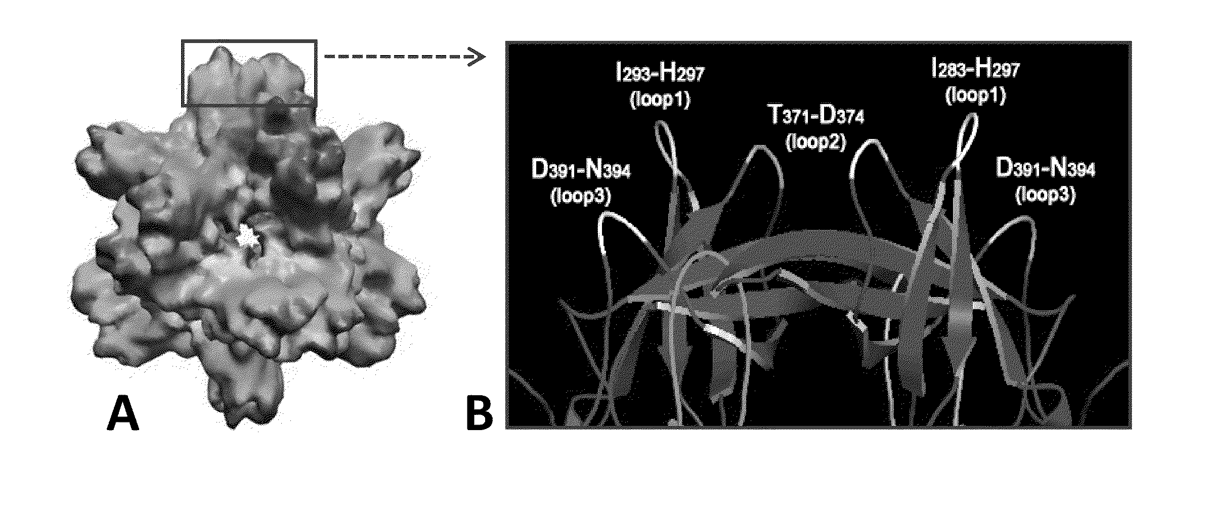 Antigen-norovirus p-domain monomers and dimers, antigen-norovirus p-particle molecules, and methods for their making and use