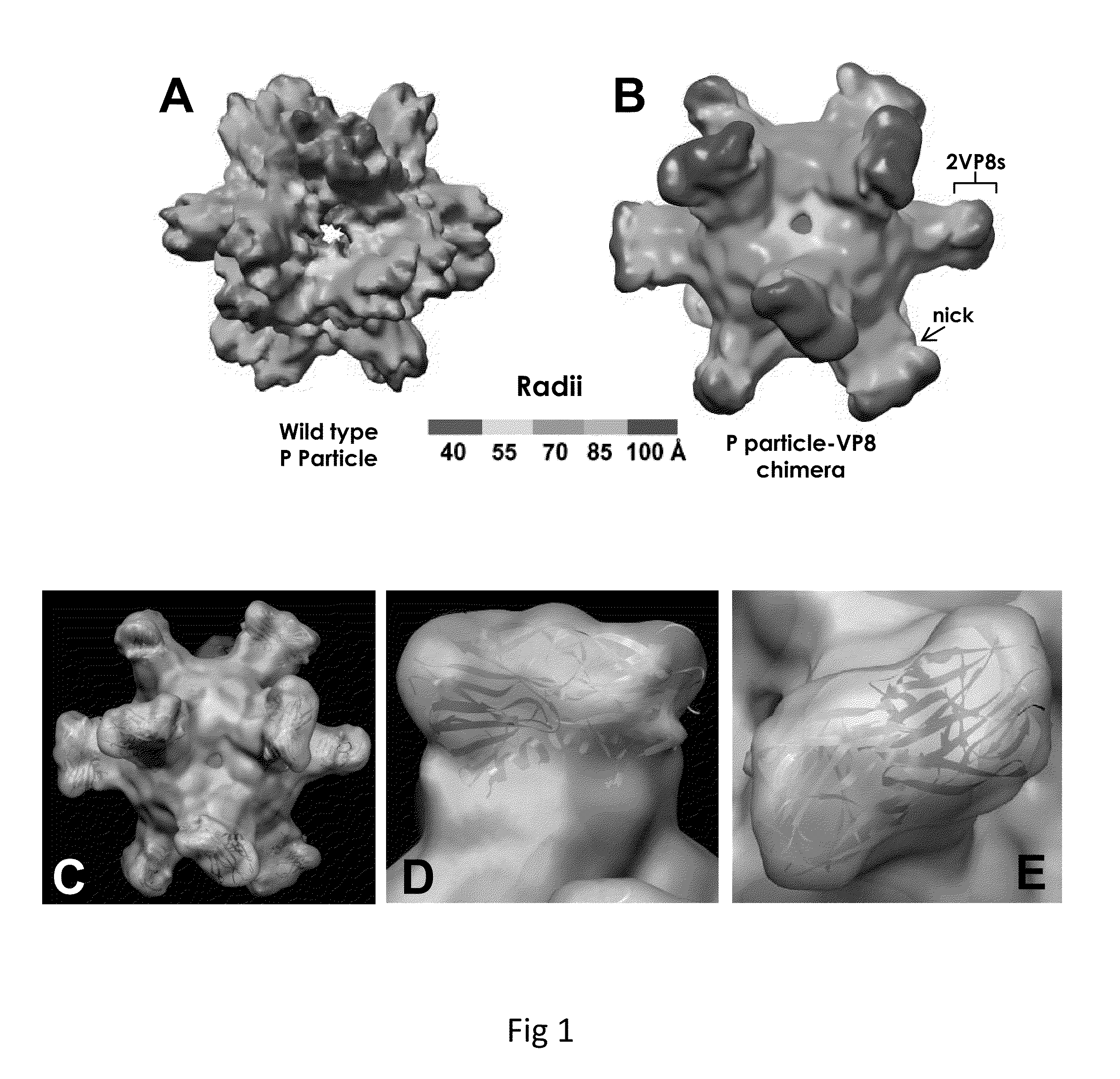 Antigen-norovirus p-domain monomers and dimers, antigen-norovirus p-particle molecules, and methods for their making and use