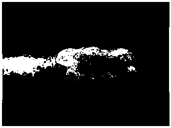 Amino acid cleansing foam and preparation method thereof