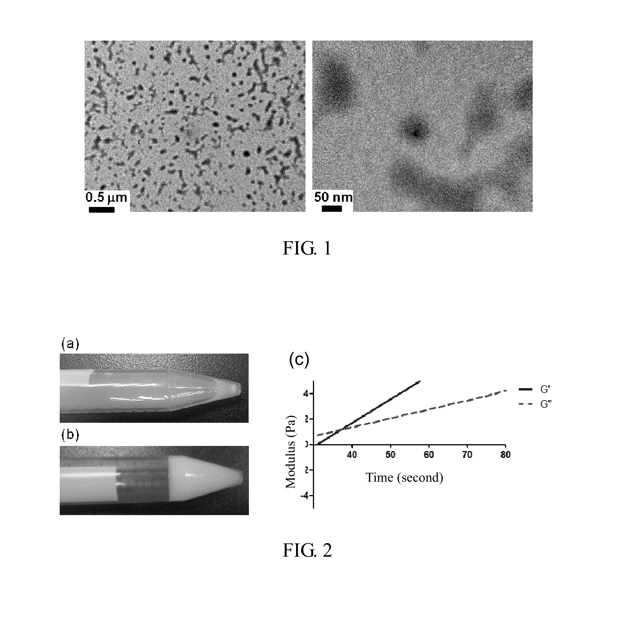 Biocompatible and biodegradable elastomer