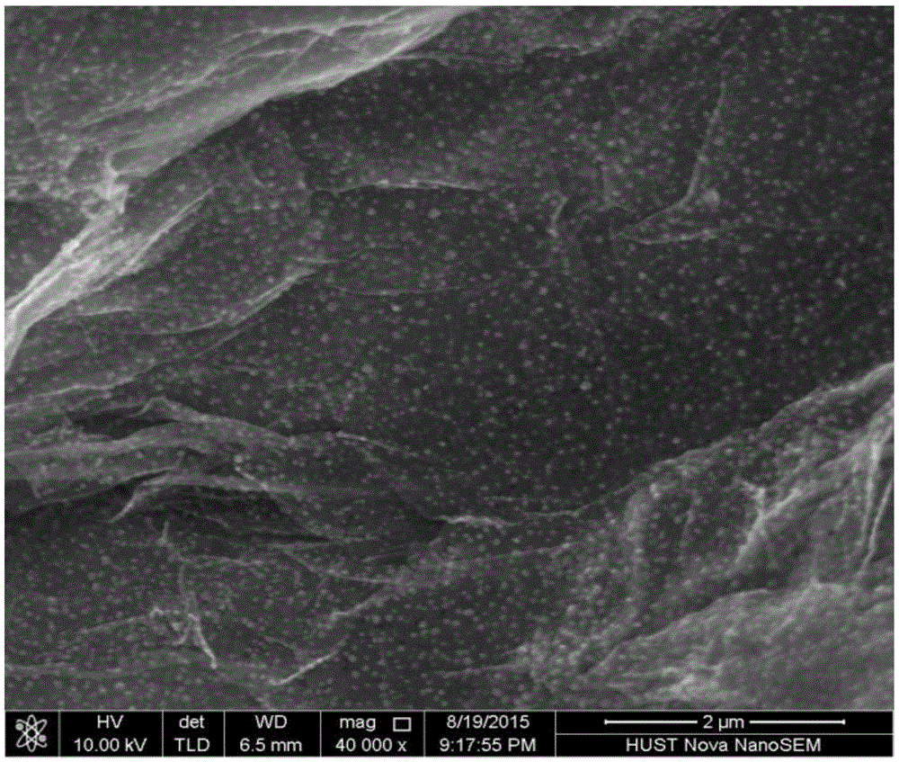 Graphene loaded Co-N-C oxygen reduction catalyst and preparation method thereof