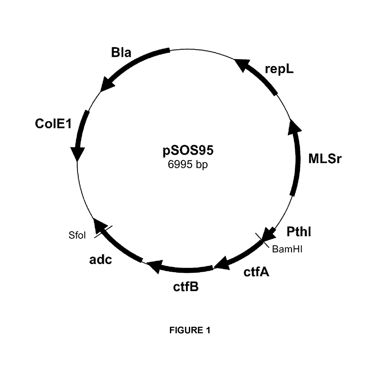 A genetically modified acetogenic cell