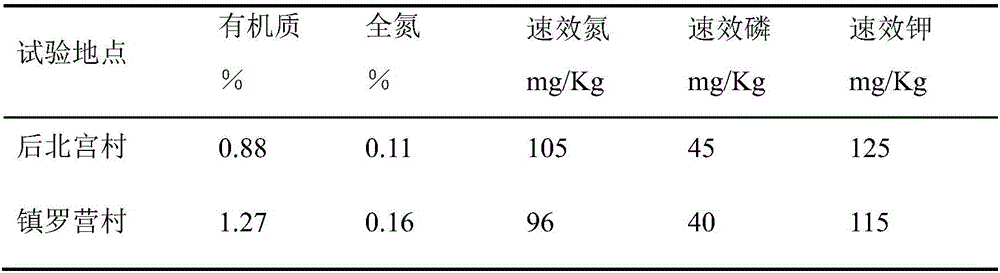 Special biological soil improvement agent for peach trees and preparation method therefor