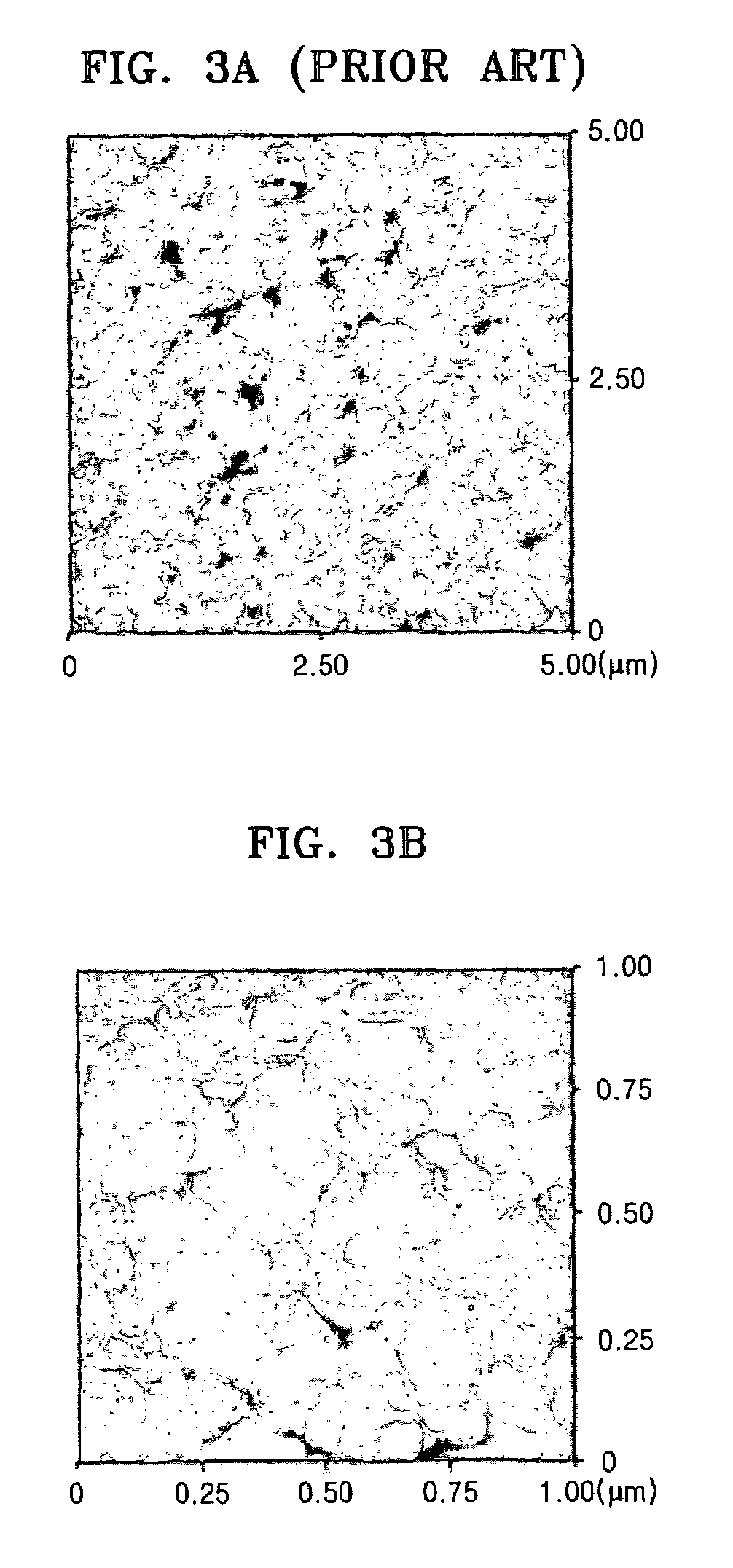 Conductive carbon nanotube tip, probe having the conductive carbon nanotube tip, and method of manufacturing the conductive carbon nanotube tip