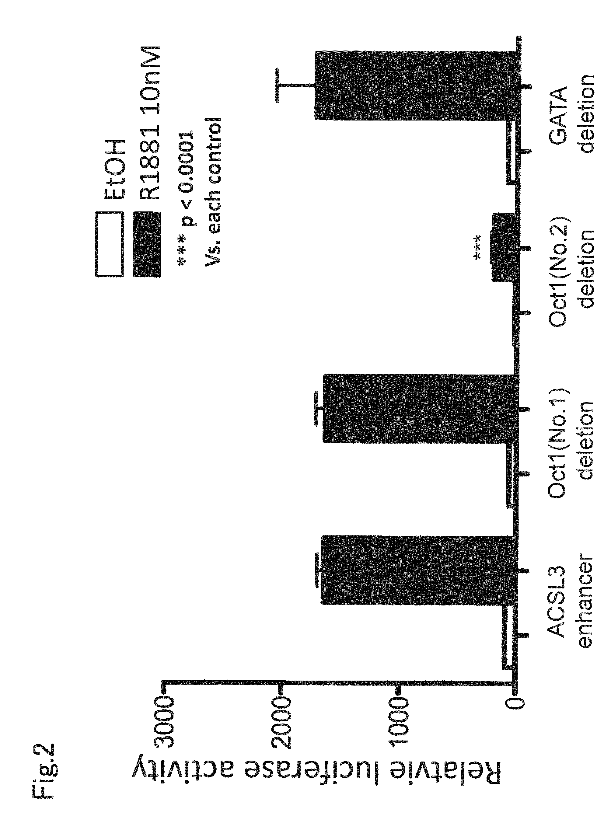 PI polyamide