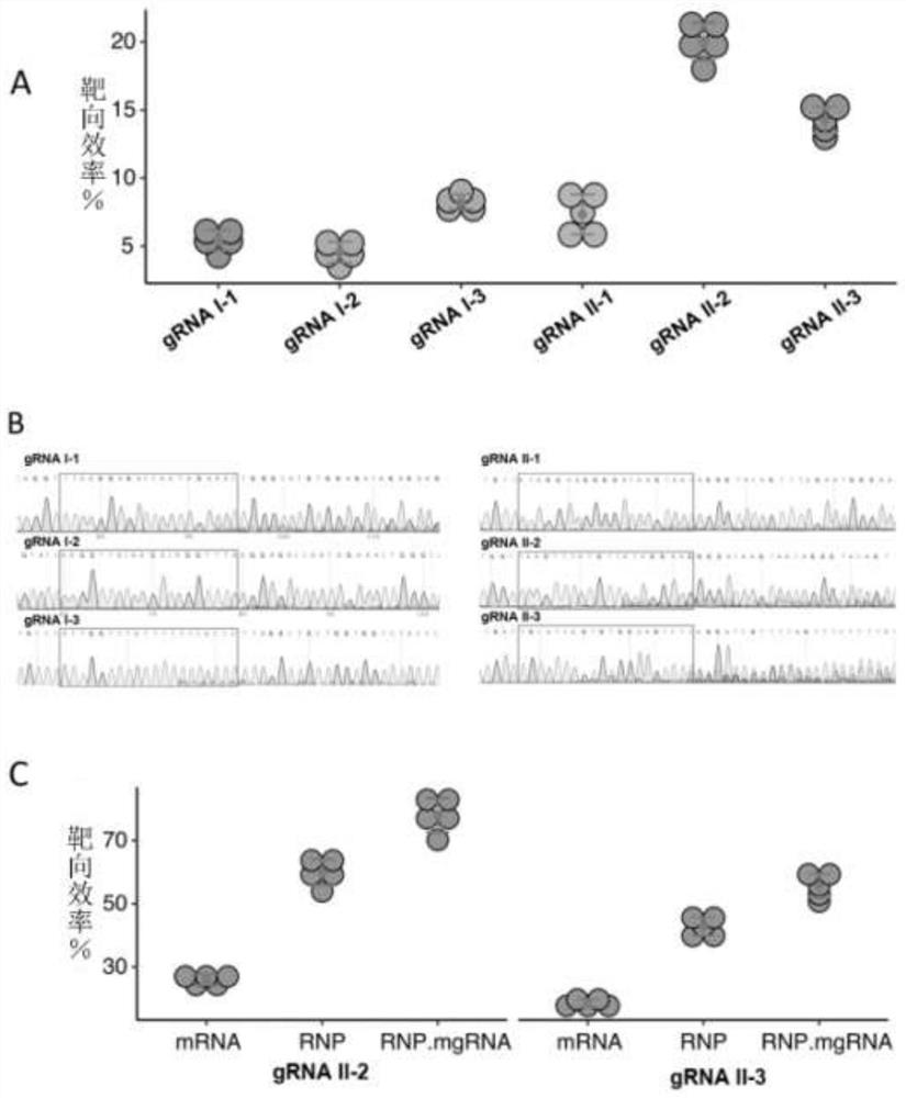 GRNA molecule targeting beta-globin gene, synthetic method thereof and method for correcting mutation type