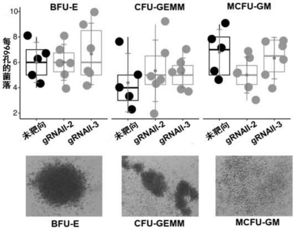 GRNA molecule targeting beta-globin gene, synthetic method thereof and method for correcting mutation type