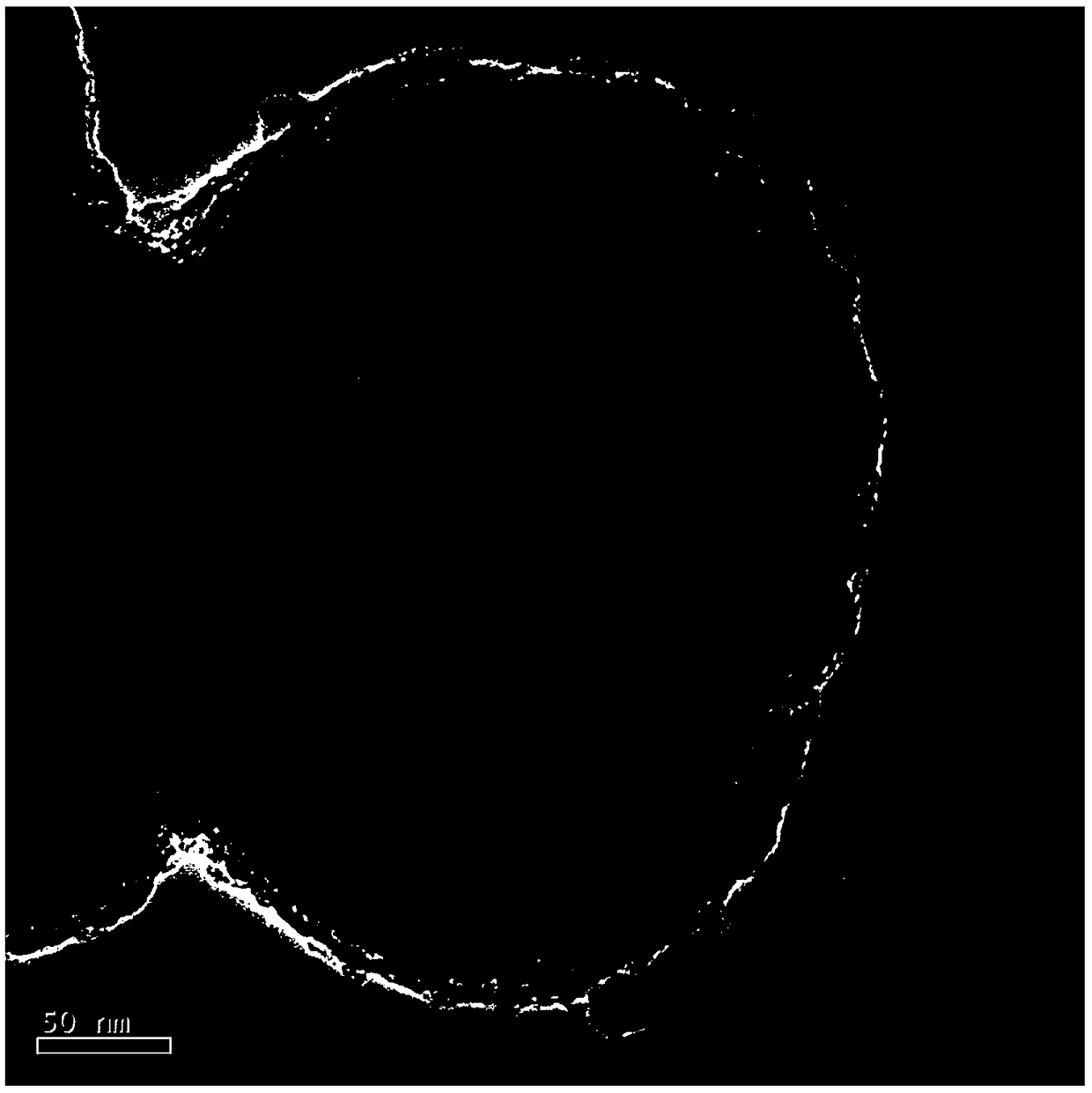 Magnetic quantum dot molecular imprinting material used for detecting bisphenol A and application