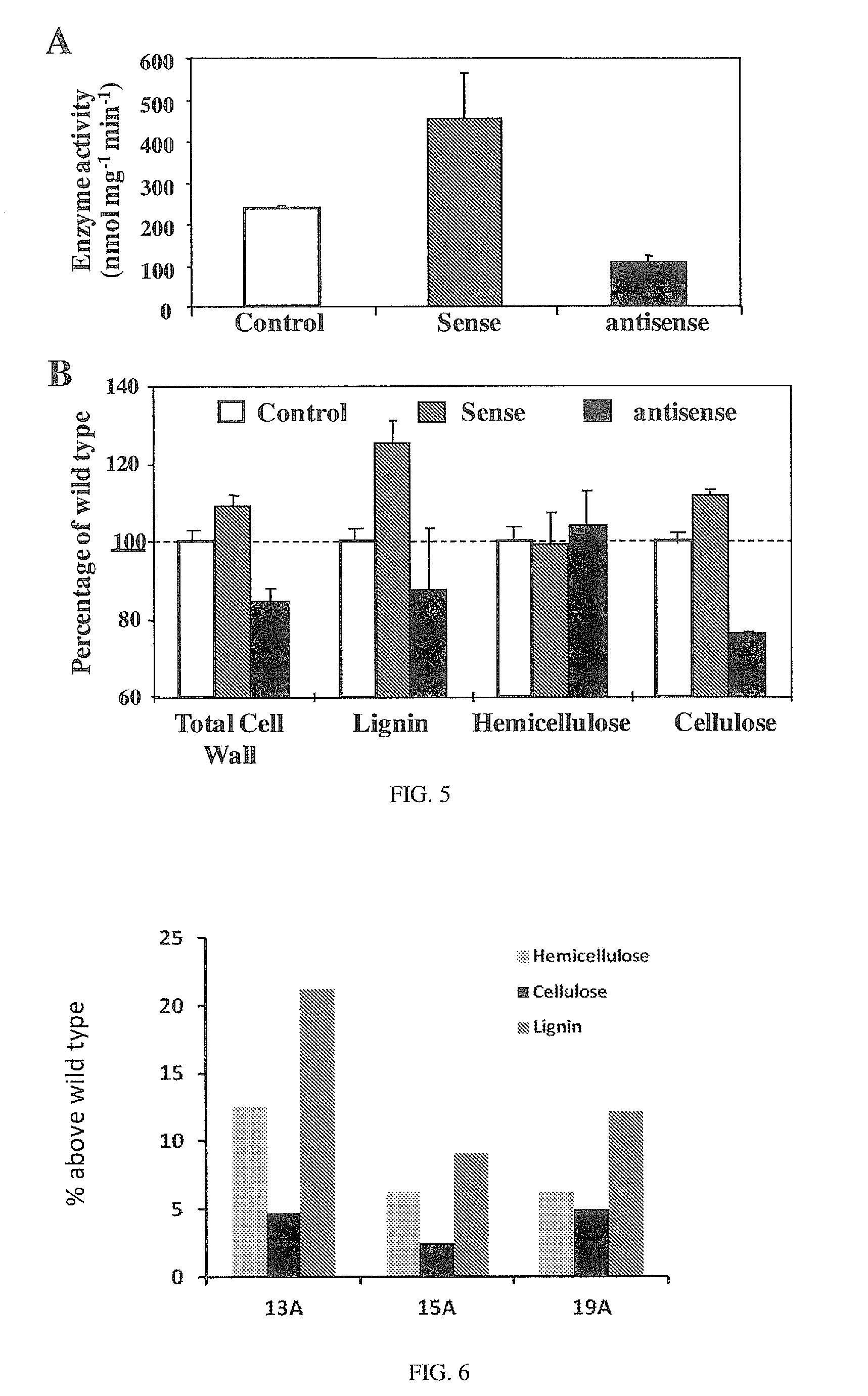 Use of fructokinases and sucrose synthases for increasing cell wall polymers