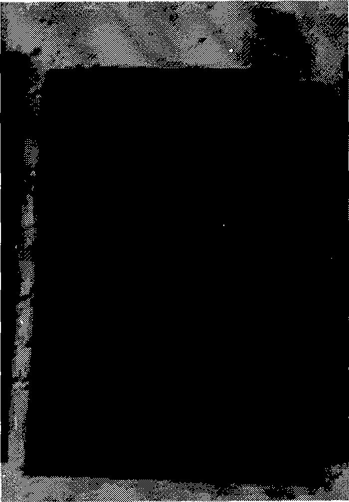 Lithium ion battery cathode sheet and preparation method thereof, and lithium ion battery