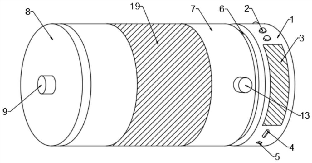 Portable disinfection device and disinfection method