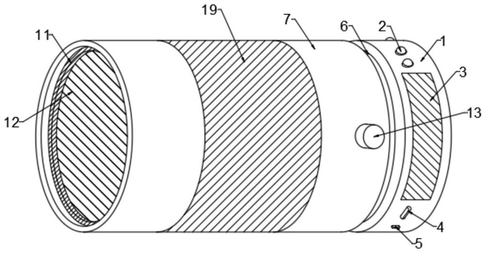 Portable disinfection device and disinfection method