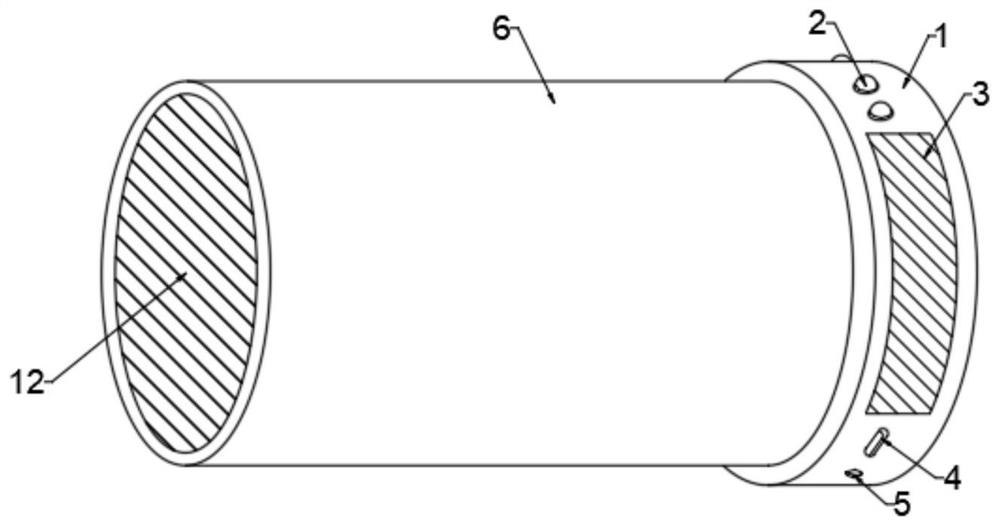 Portable disinfection device and disinfection method