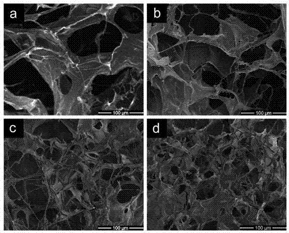 Illumination-magnesium ion double-crosslinking alginate hydrogel and preparation method thereof