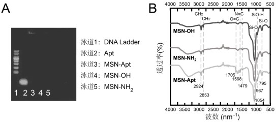 Nanoparticles cooperating with NO gas treatment and enhancing sonodynamic therapy effect as well as preparation method and application of nanoparticles