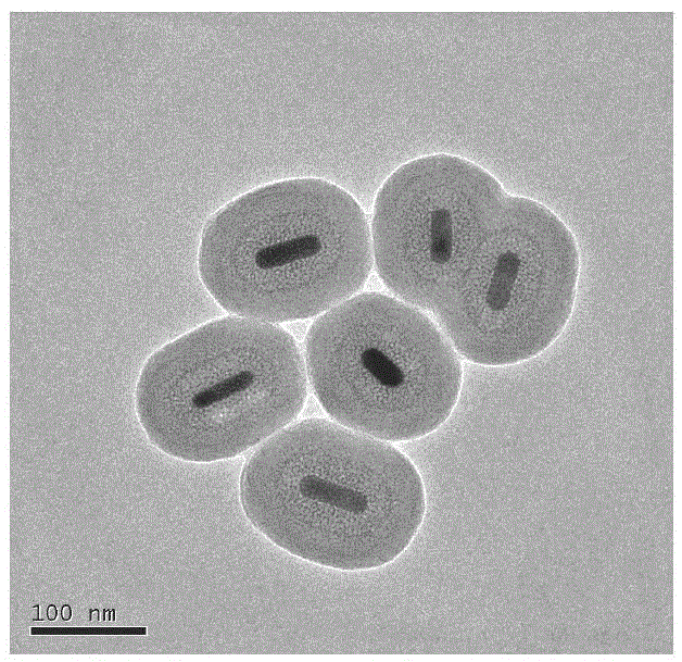 Gold-gadolinium composite nano material as well as preparation method and application of gold-gadolinium composite nano material