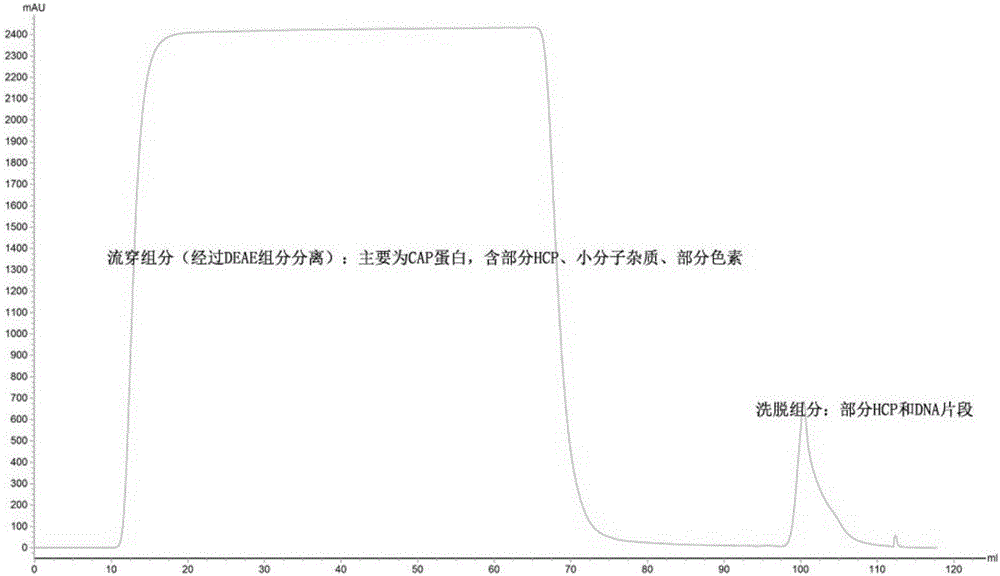 Chromatographic method for separating and purifying high-purity porcine circovirus Cap proteins