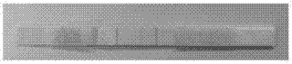 Colloidal gold chromatographic rapid diagnosis test paper strip used for detecting acetylcholine esterase and preparation method thereof