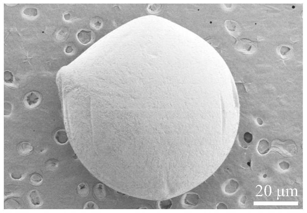 Polyimide slurry and polyimide film