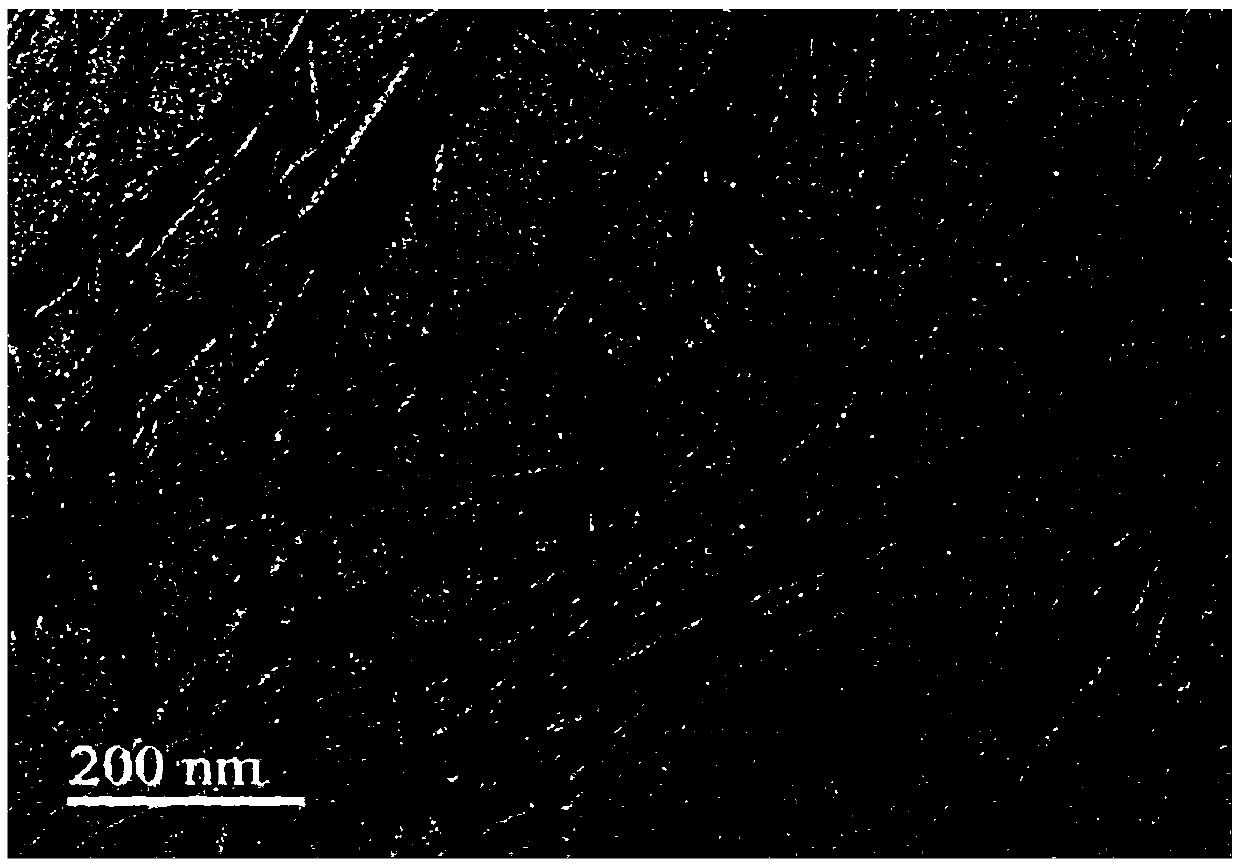 Hydrogel applicable to cell adhesion and preparation method of hydrogel