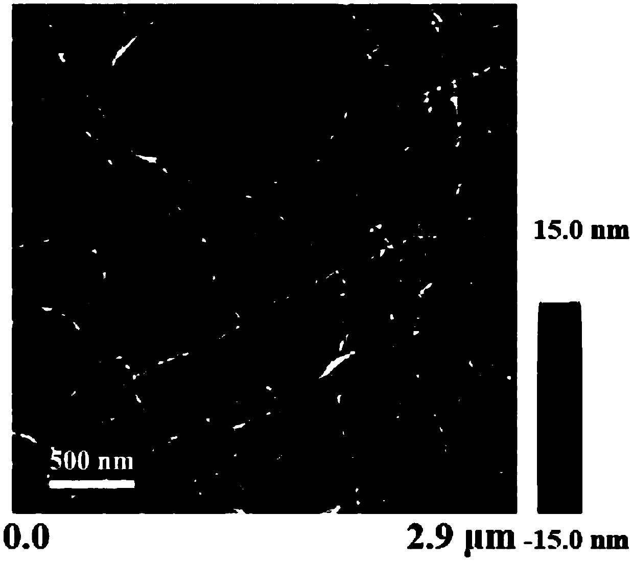 Hydrogel applicable to cell adhesion and preparation method of hydrogel