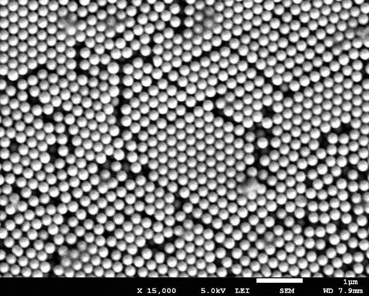 Structural color film with structural stability and high saturation and application thereof