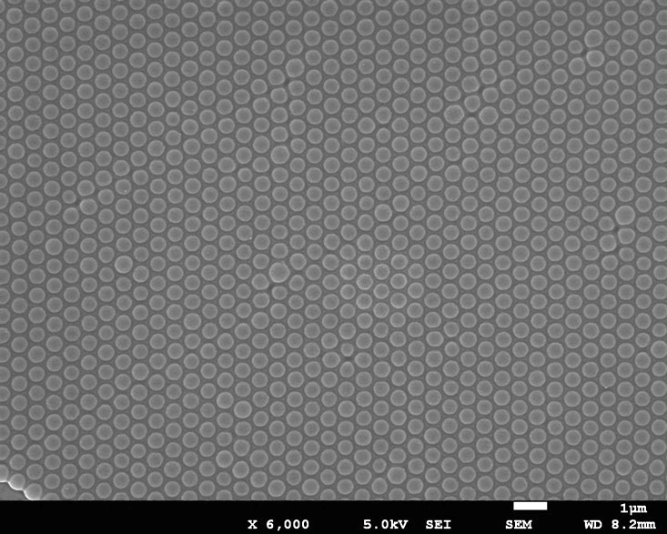 Structural color film with structural stability and high saturation and application thereof