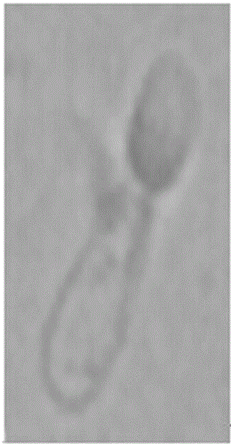 Method for Simultaneous Detection of Sperm Nucleoprotein and Membrane Integrity