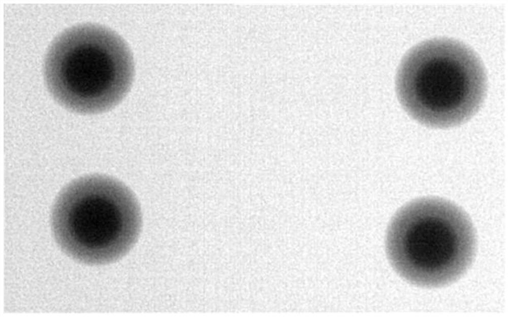 Tin plating solution, preparation method and application thereof