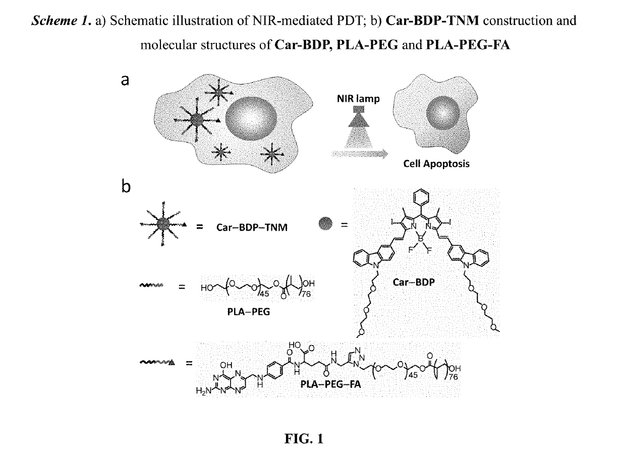 Ultralow-power near infrared lamp light operable targeted organic nanoparticle photodynamic therapy